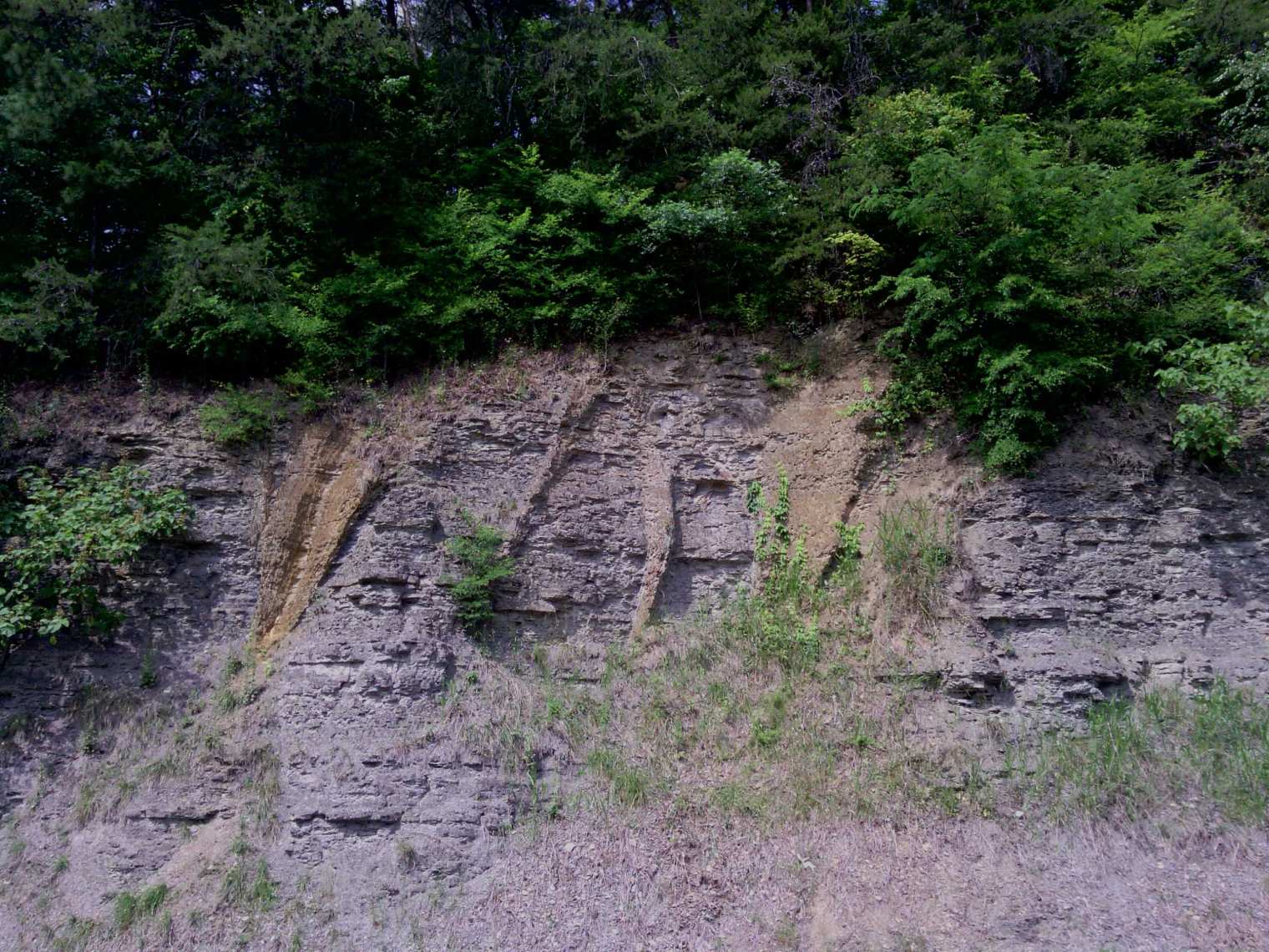 Stone Tornadoes in Sipsey Alabama