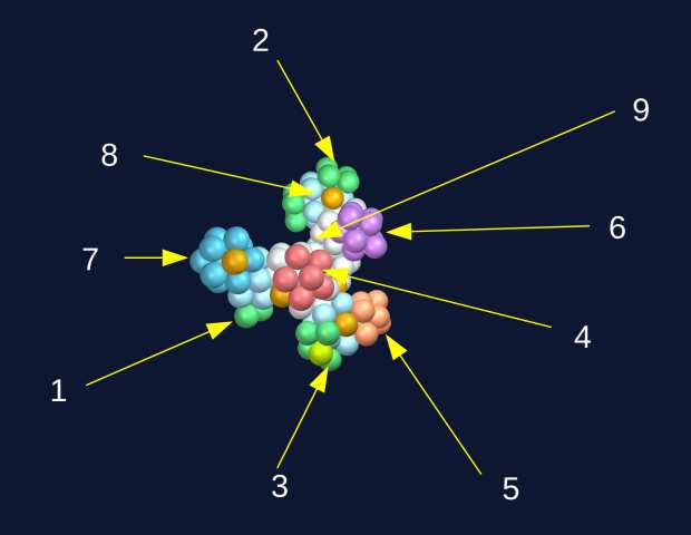  Fictional nucleus showing all building blocks -- endings, cappings, and nuclets.