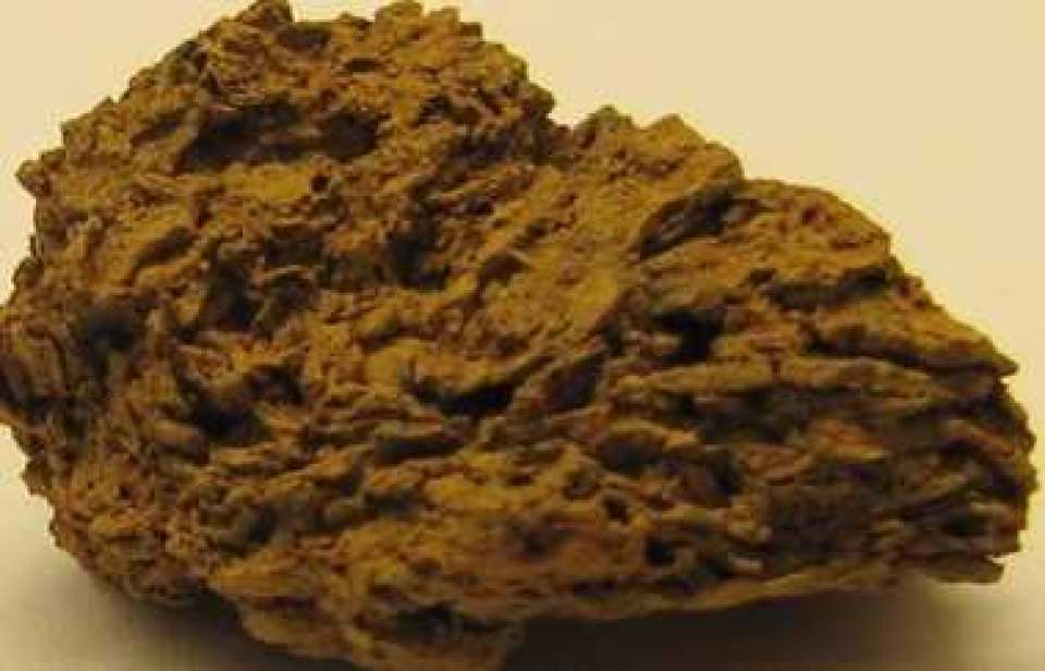 Rock sample fragment taken from inside the formation